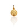 Dije Virgen de Lujan-Oro bajo-Sin piedra-CP8515 Sinpiedra