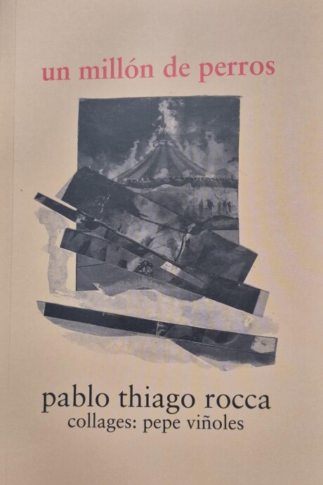 UN MILLON DE PERROS UN MILLON DE PERROS