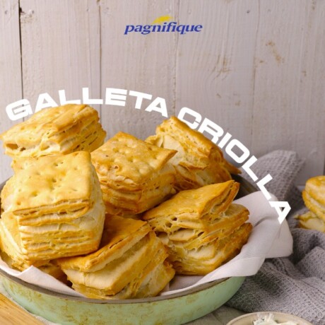 GALLETAS DE CAMPO PAGNIFIQUE X6 GALLETAS DE CAMPO PAGNIFIQUE X6