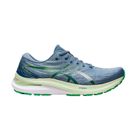 Championes Asics Gel-Kayano 29 Green & Blue