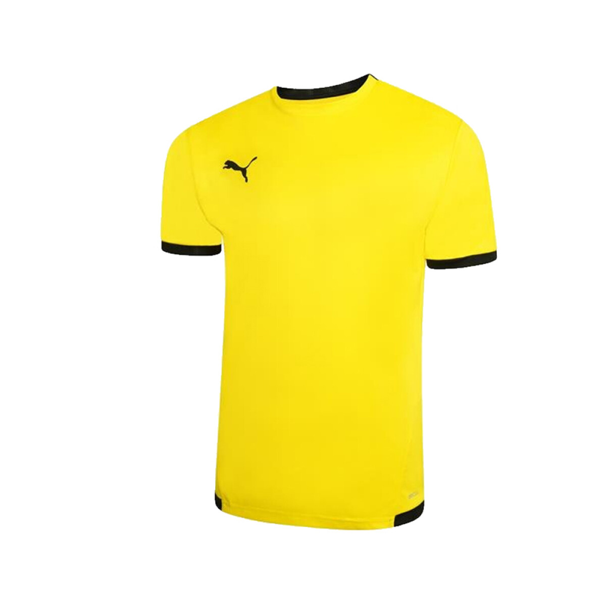 CAMISETA PEÑAROL PUMA TEAMLIGA JERSEY 