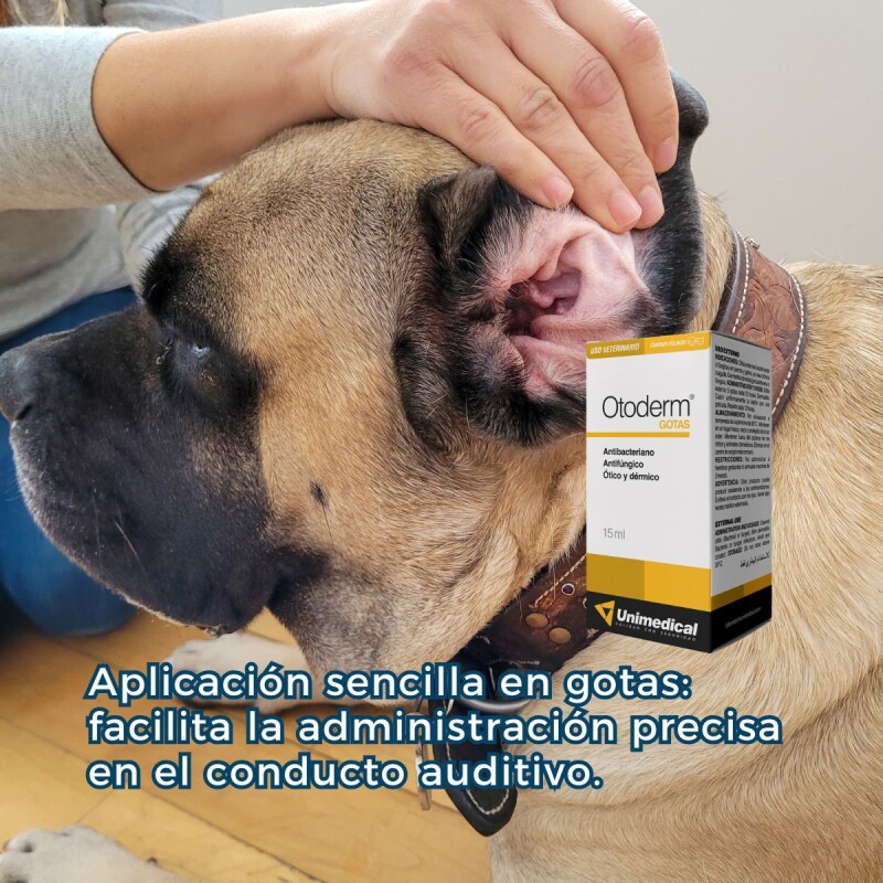 OTODERM GOTAS FRASCO 15 ML OTODERM GOTAS FRASCO 15 ML