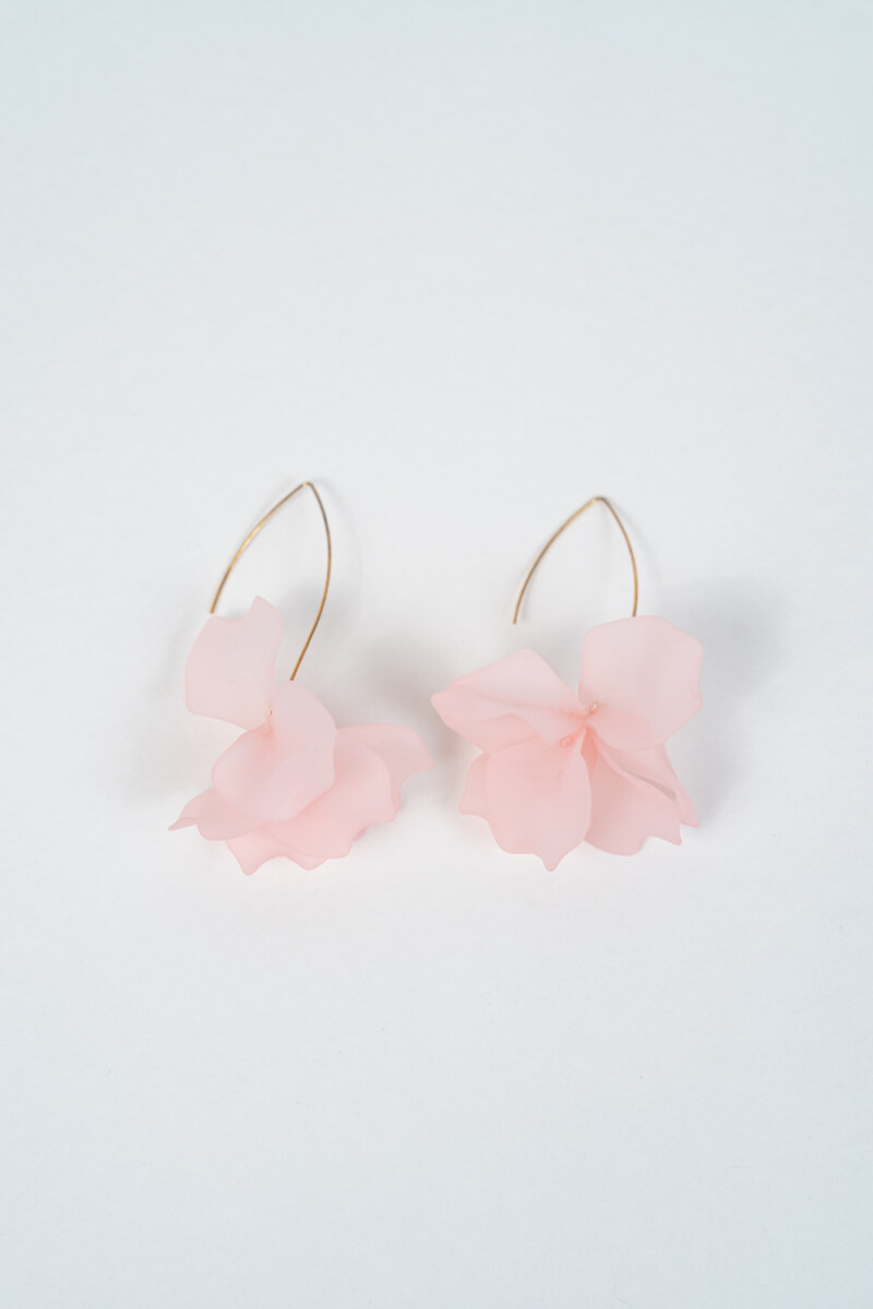 Caravana Liro - Estampado 2 