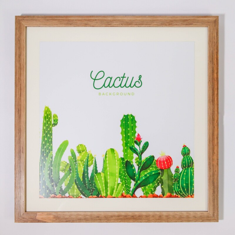 Cuadro cactus Cuadro cactus