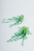 Pirla Green