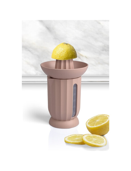 EXPRIMIDOR DE CITRICOS D13x21CM SURTIDO EXPRIMIDOR DE CITRICOS D13x21CM SURTIDO