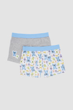 Pack x2 boxer marvel/disney Monstruos