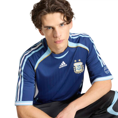 Remera Segunda Equipación Argentina 2006 De Hombre Azul