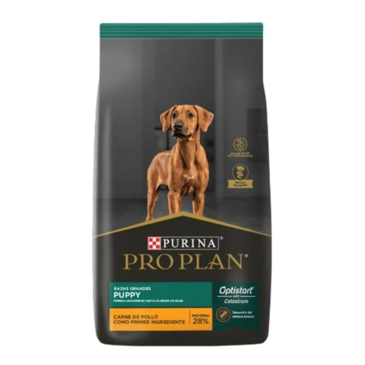 PRO PLAN DOG CACHORRO RAZA GRANDES 15KG 