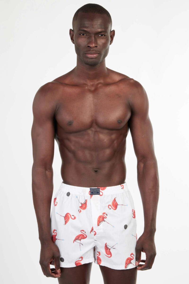 Bóxer Kevingston DU9