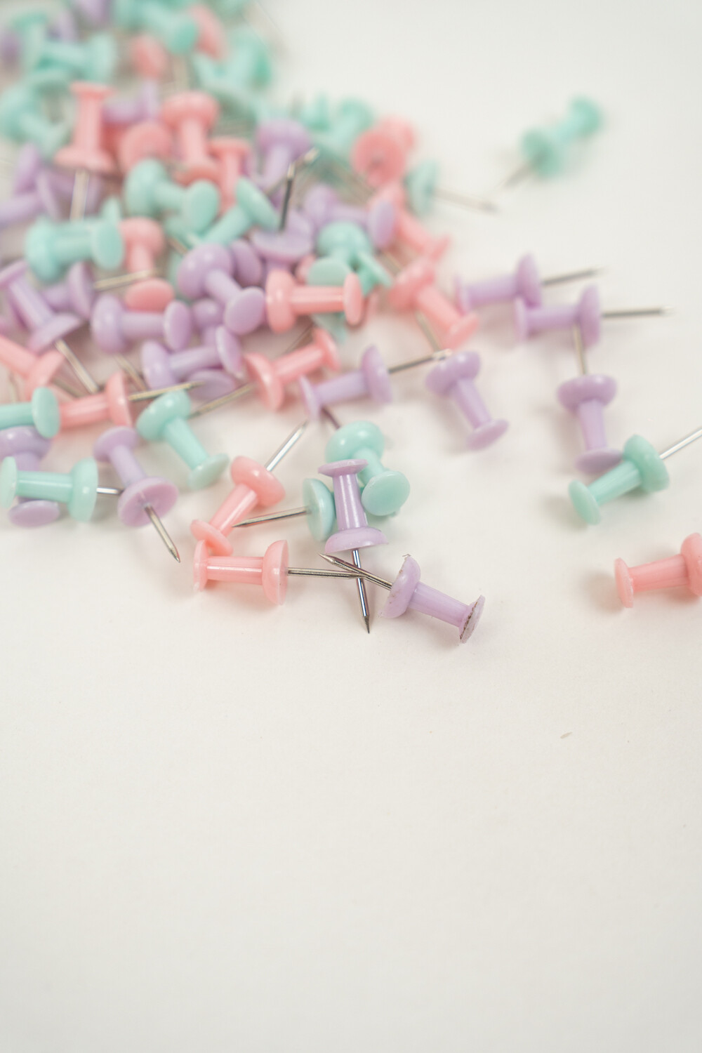 Clips Mara Estampado 1