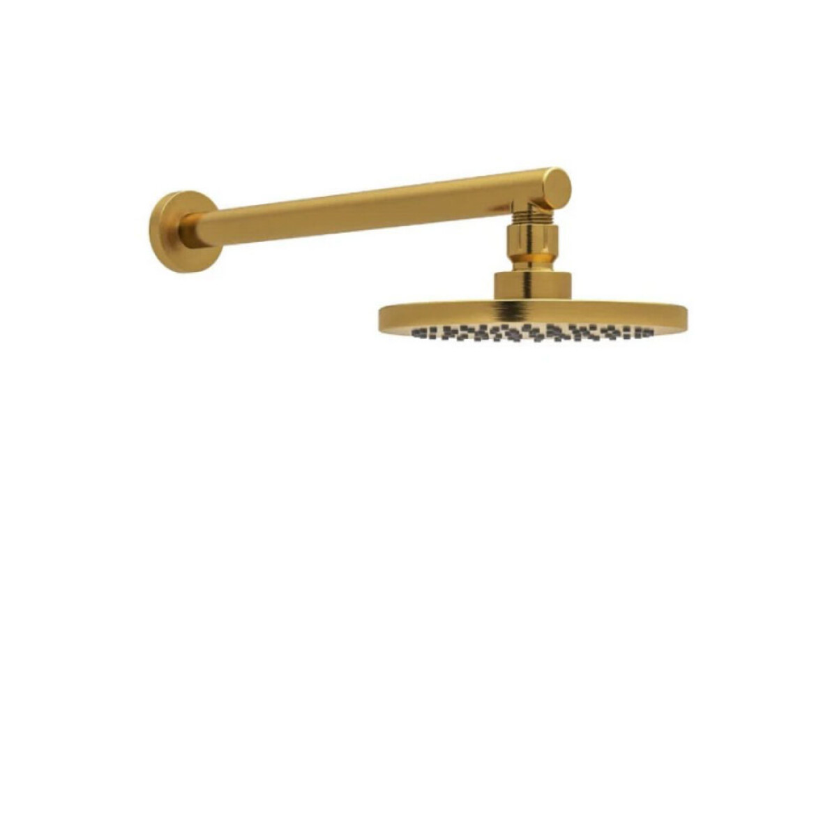 Ducha Articulada 200mm Brushed Gold 