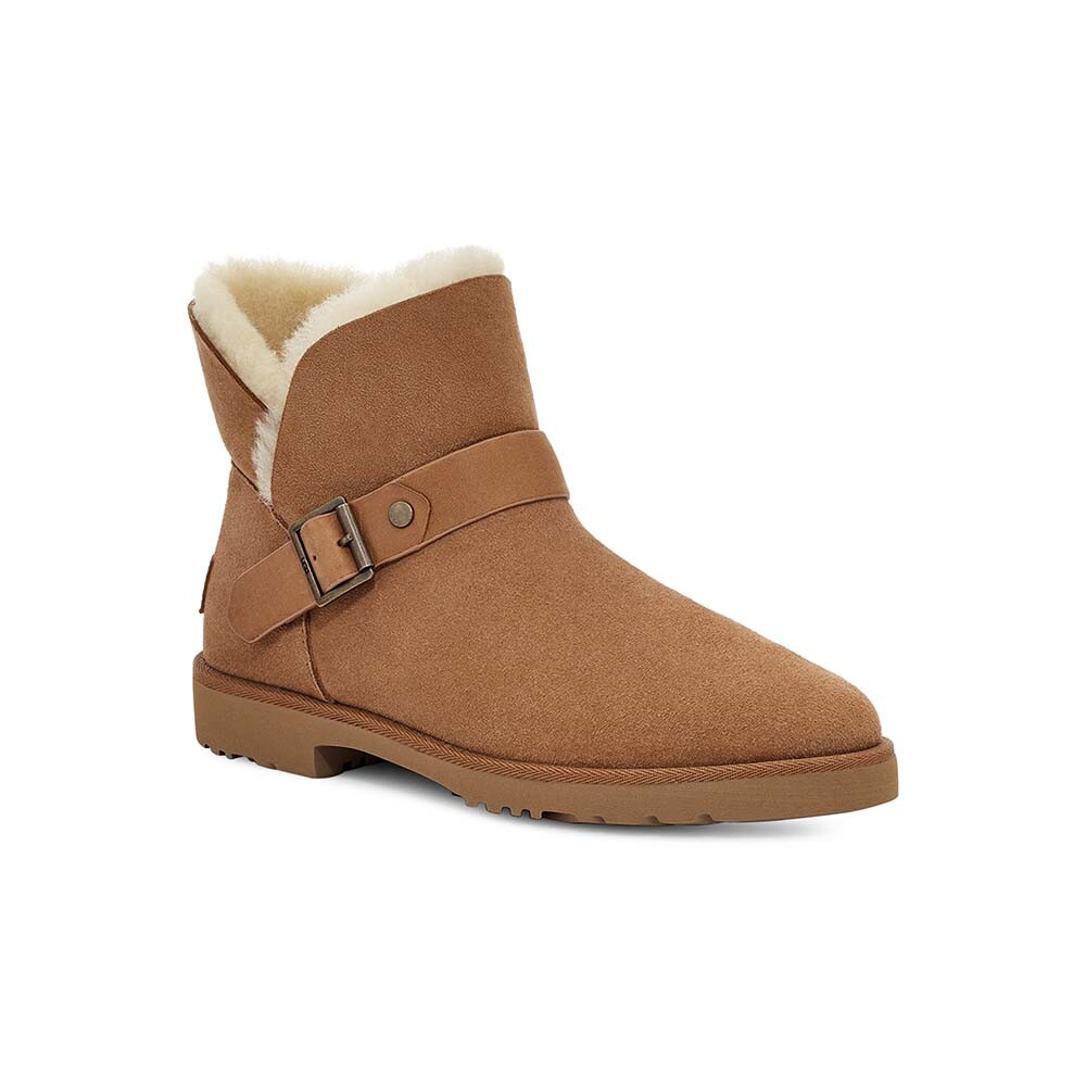 Romely Short Buckle - Mujer Chestnut