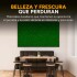 Jardin Vertical Panel Pasto Artificial 60x40 X20 Unidades Jardin Vertical Panel Pasto Artificial 60x40 X20 Unidades
