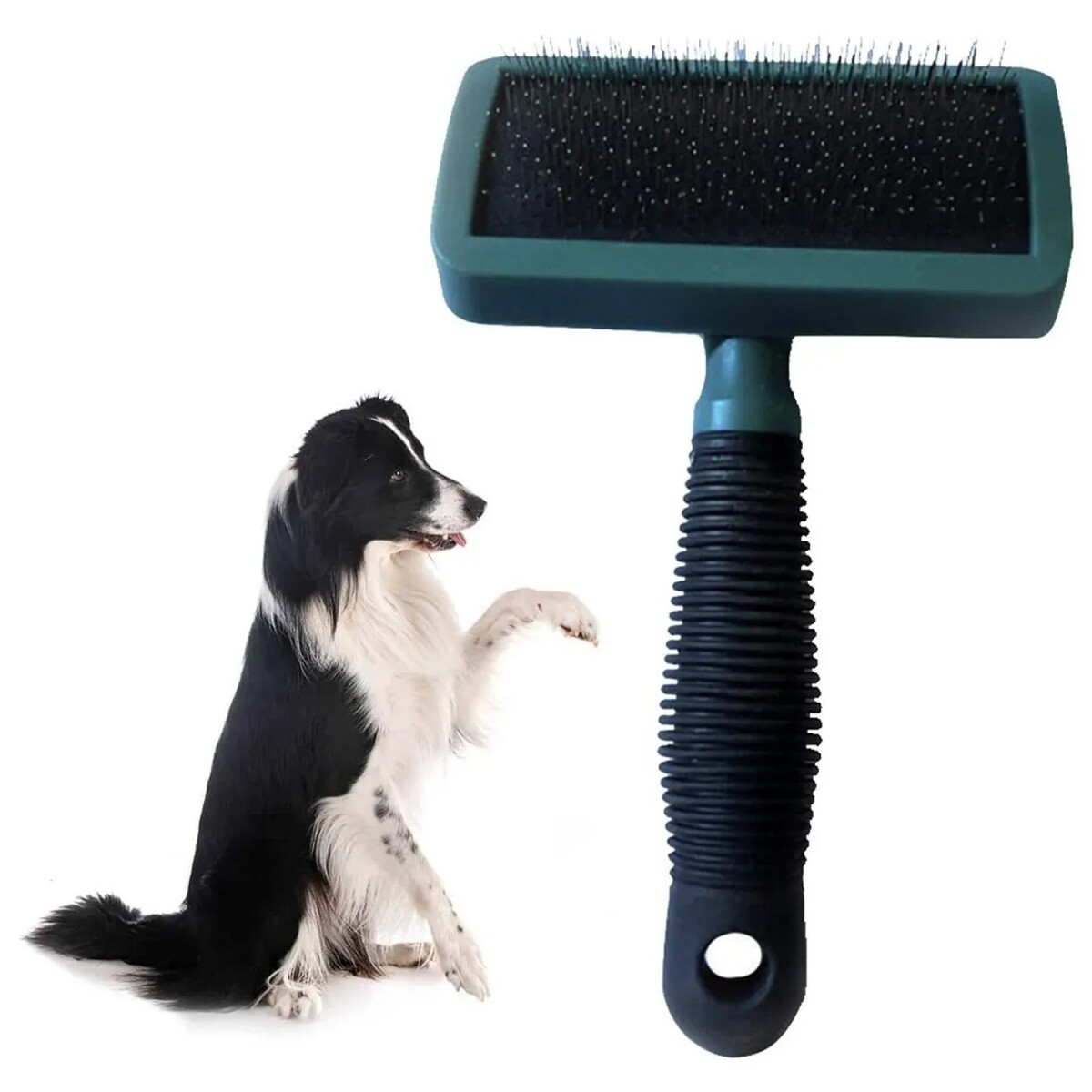 Cepillo Para Mascota Quita Pelo Perro Gato Mascota Pelos - Variante Color Verde 