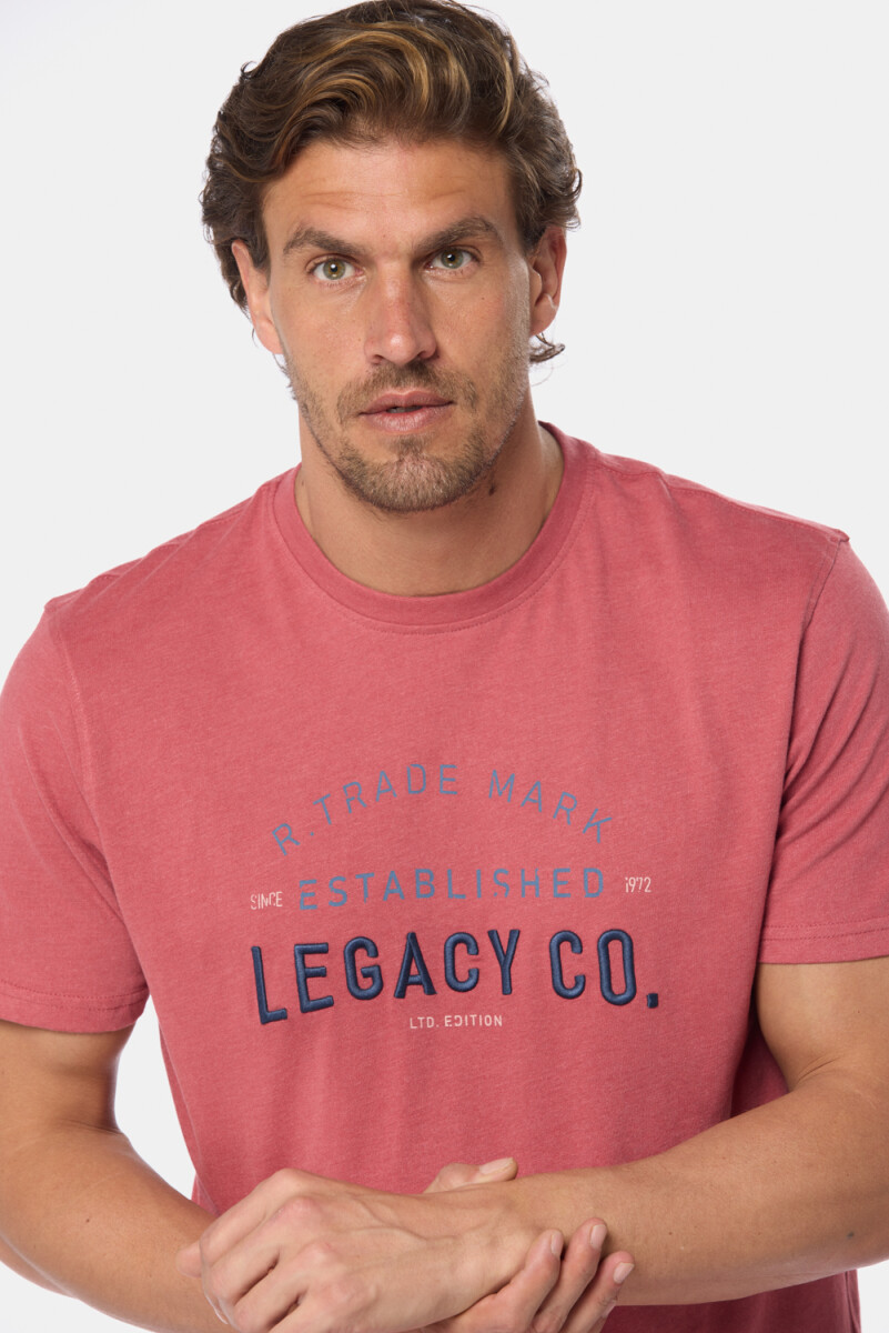 REMERA ESTAMPADA - Bordo 