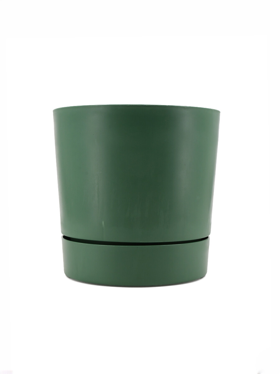 MACETA BEGONIA - VERDE 