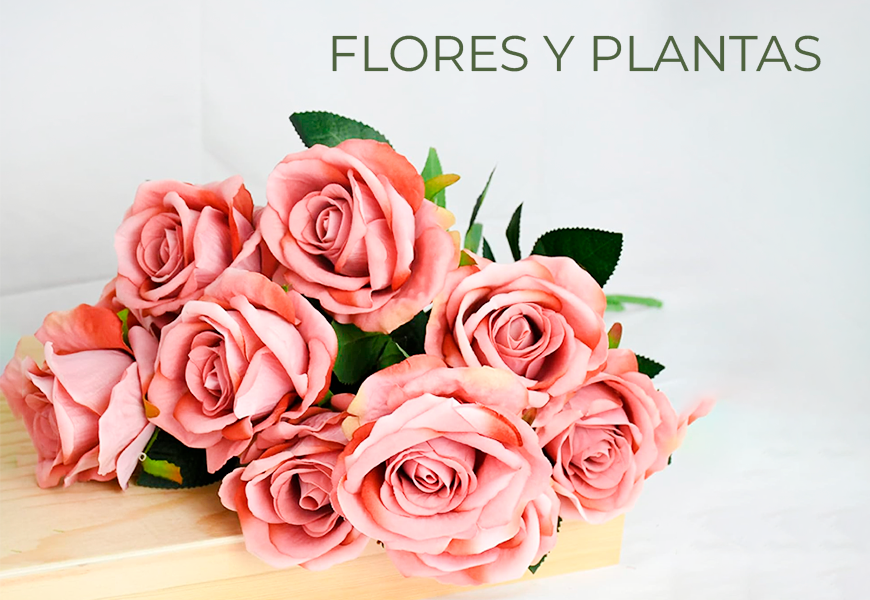 Flores Y Plantas