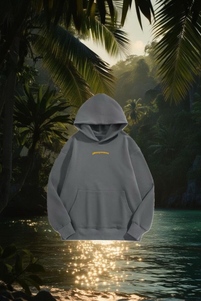 Hoodie Surfer / Gris U