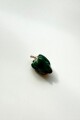 PIN FRUIT Morron Verde