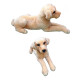 Peluche Numi Perro Labrador Acostado 69 Cm Animales Peluche Numi Perro Labrador Acostado 69 Cm Animales
