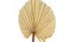 Hoja de Palma - 60 cm - Natural Hoja de Palma - 60 cm - Natural