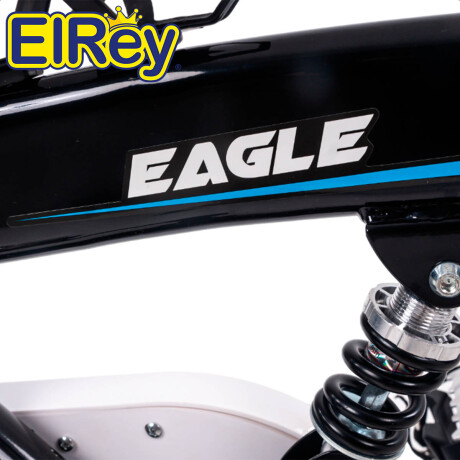 Bicicleta Spinning Expert Fitness Eagle 13Kg Profesional Amortiguador Gym002010