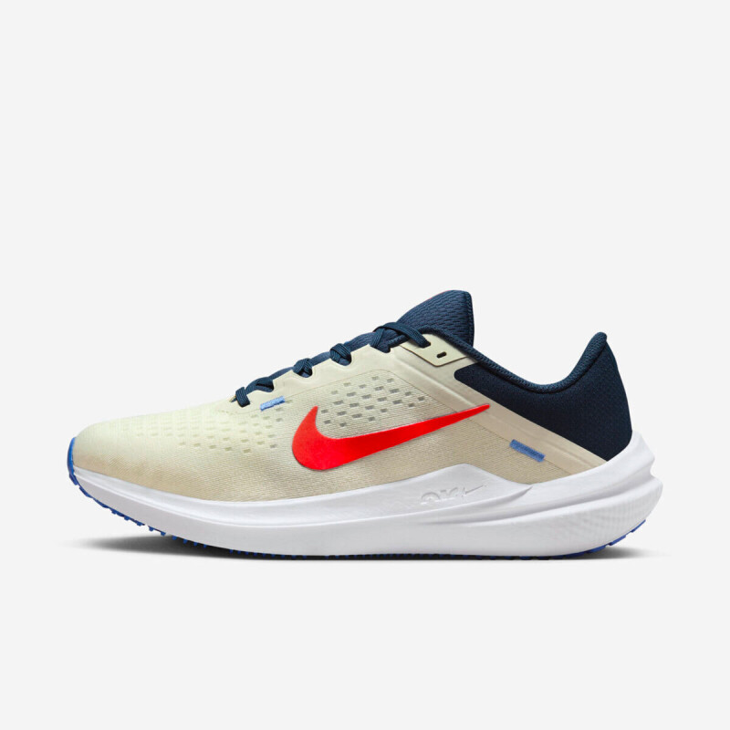 AIR WINFLO 10 Multicolor