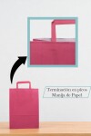 Bolsa lisa acuario 22x10x30 cm FUCSIA