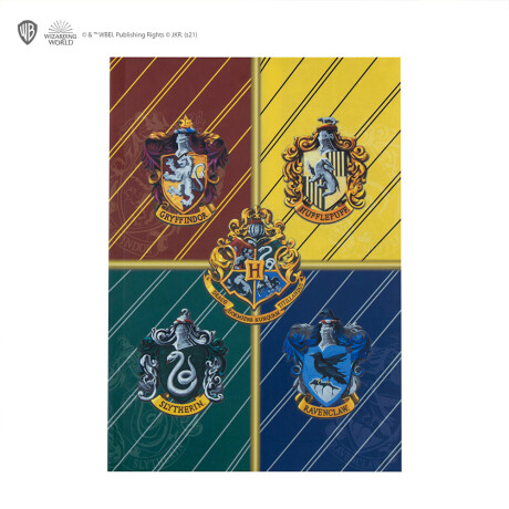 Harry Potter! Set Escolar - Hogwarts houses Harry Potter! Set Escolar - Hogwarts houses