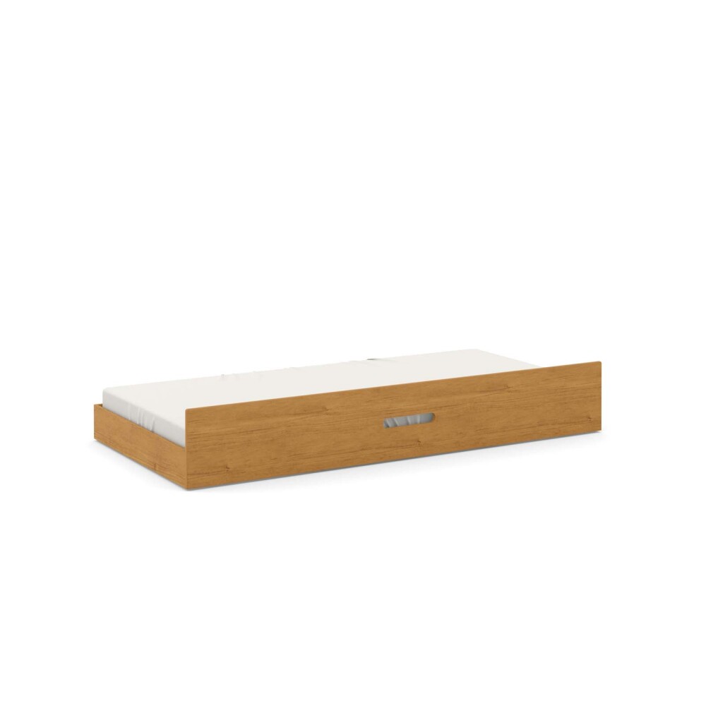 CAMA MARINERA 1 PLAZA MDF-Y-MADERA TESS/GOLD