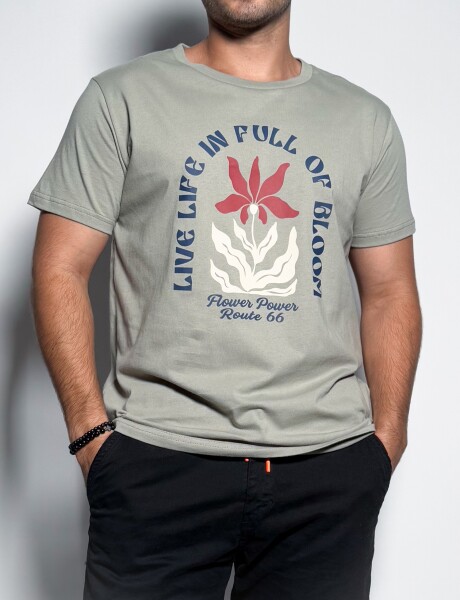Remera estampada Isai Verde