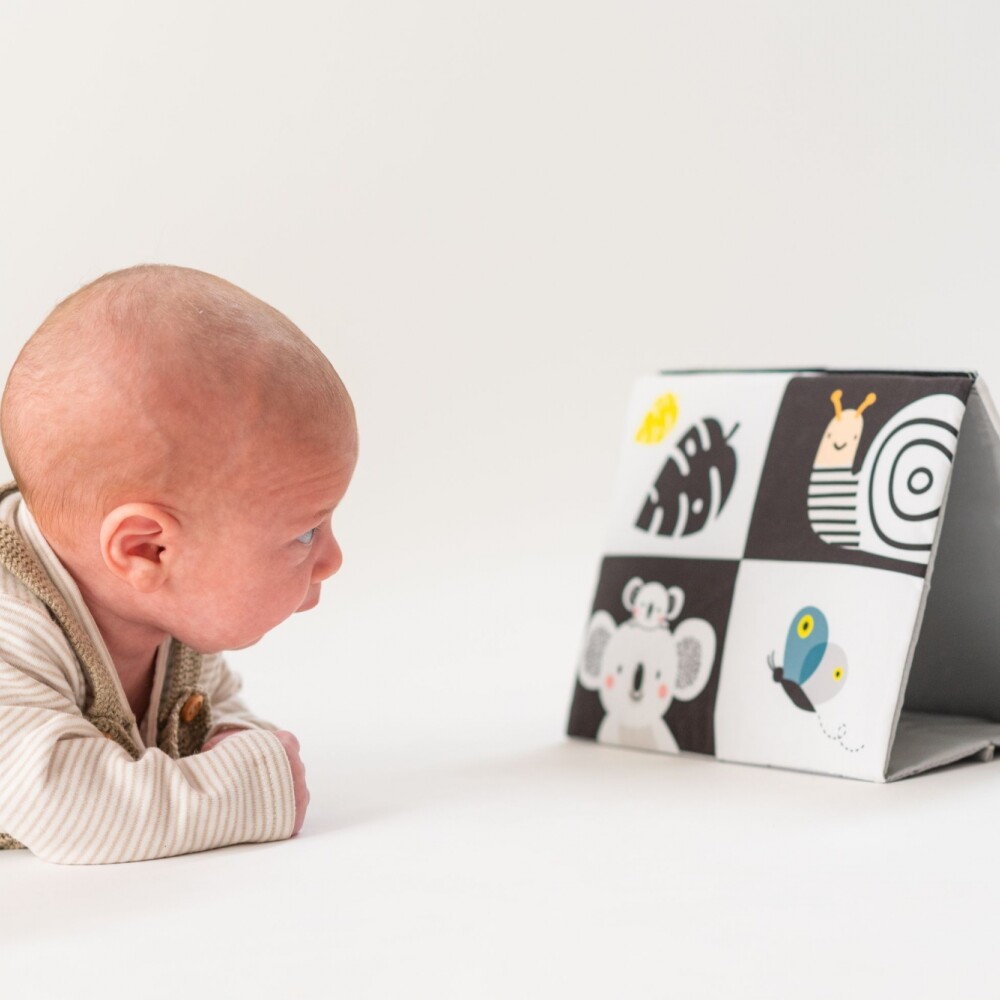 Librito Tummy-Time con espejo taf toys Librito Tummy-Time con espejo taf toys