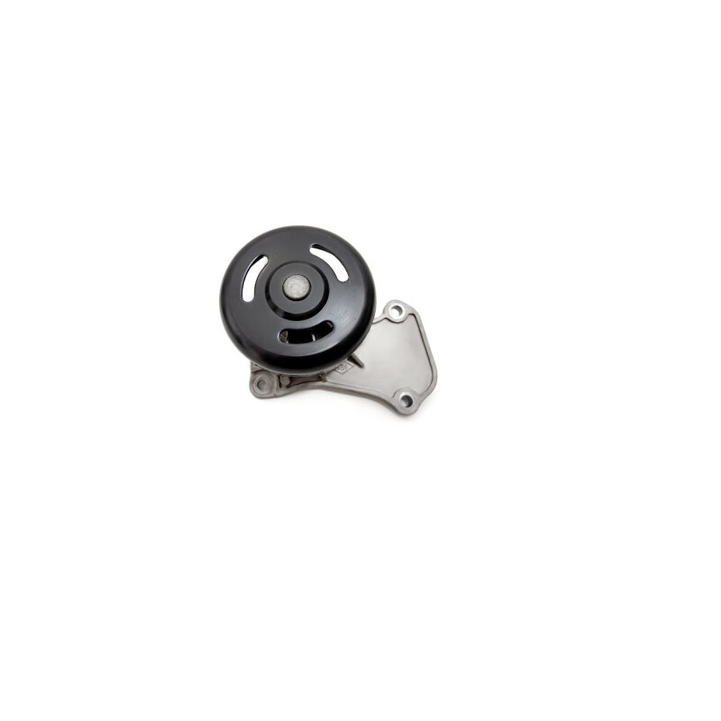 BOMBA DE AGUA RENAULT KWID Bomba De Agua Renault Kwid