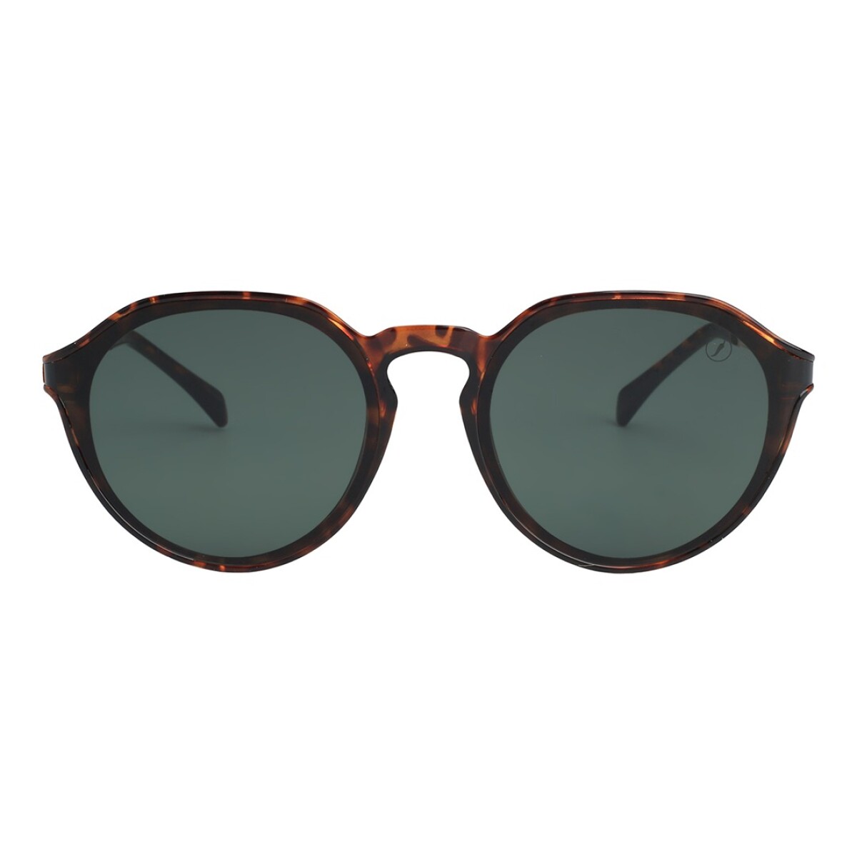 Lentes de Sol Chilli Beans Alejandria - Animal Print - Verde 