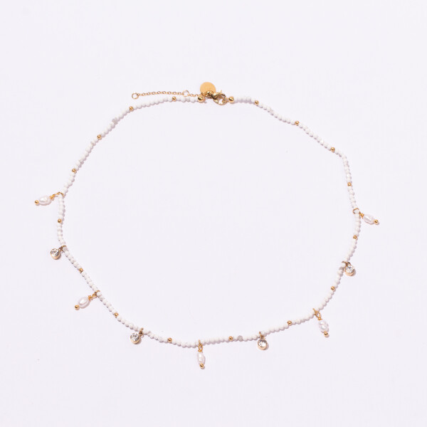 COLGANTE ANTÁRTICO COLGANTE ANTÁRTICO