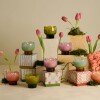TULIP Vela Tulip De Vidrio 5.5oz Paddywax - Wisteria & Willow