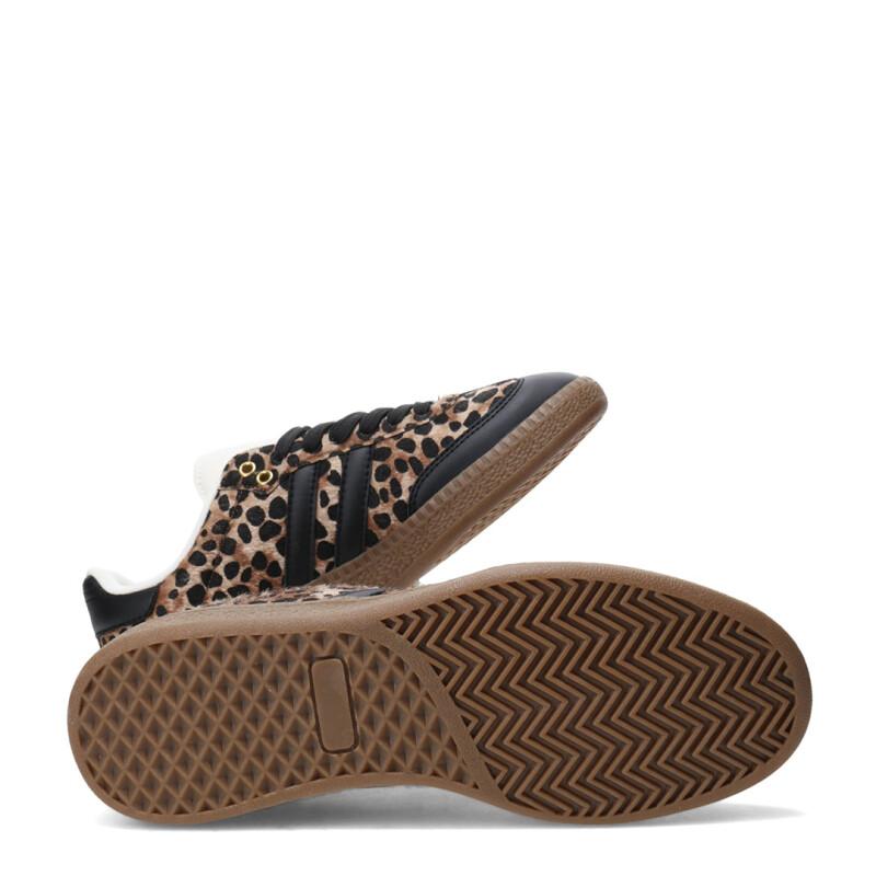 Championes de Mujer Miss Carol Lepp Acordonado Animal Print