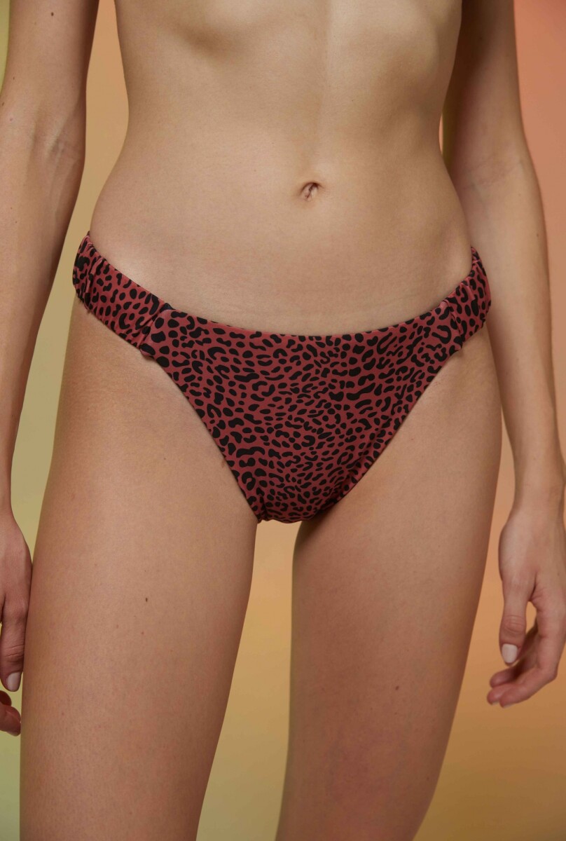 Bikini Polinesia - Cheetah 
