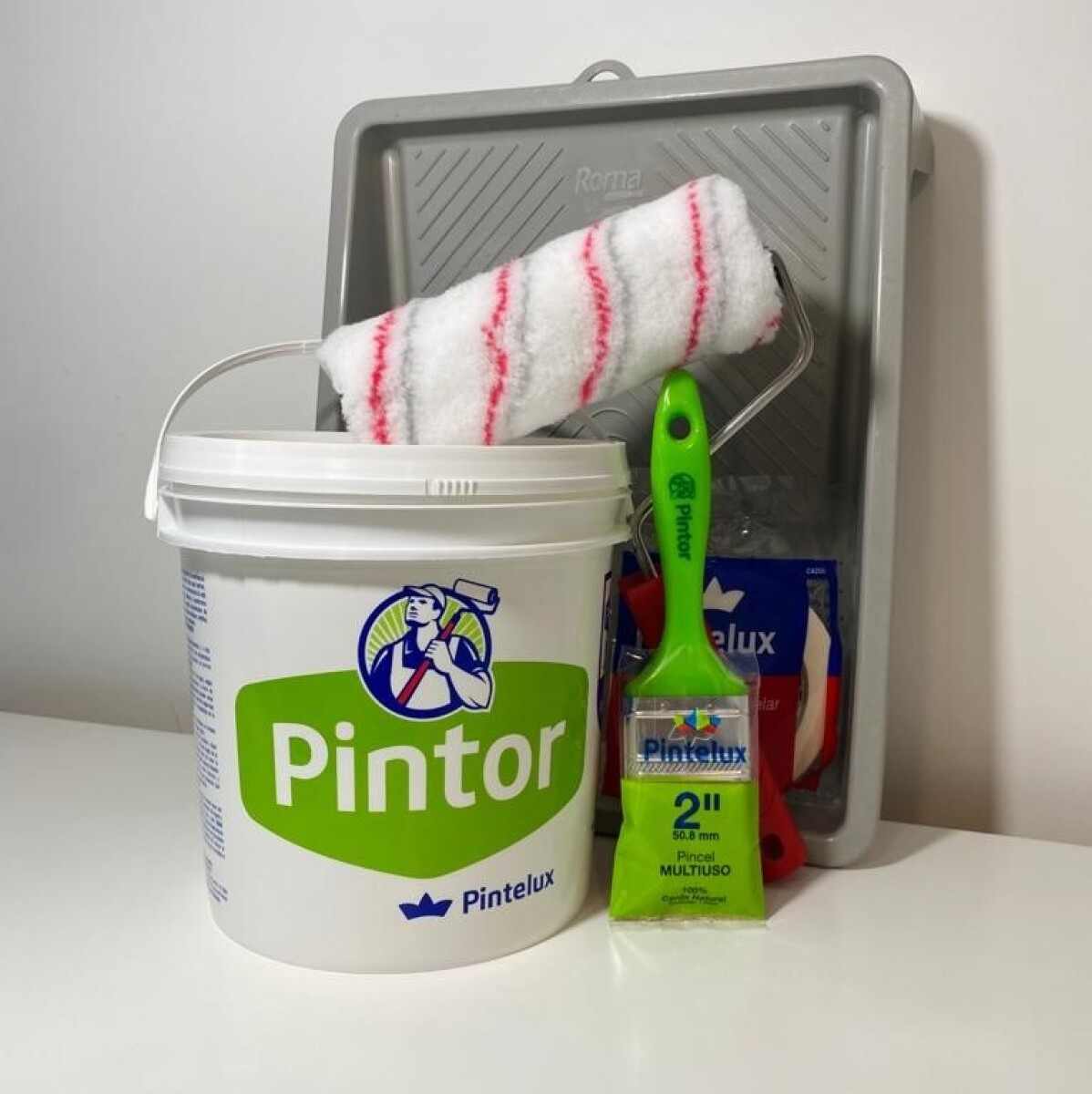 PACK PINTOR INTERIOR WEB 