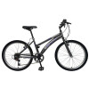 Bicicleta Baccio Alpina Lady Montaña rodado 24 con 6 cambios GRIS