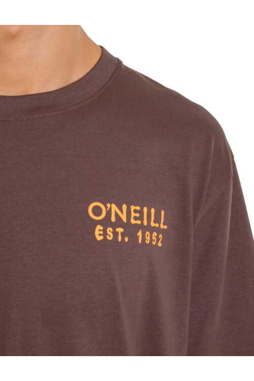Remera O'Neill Oceanside Marrón