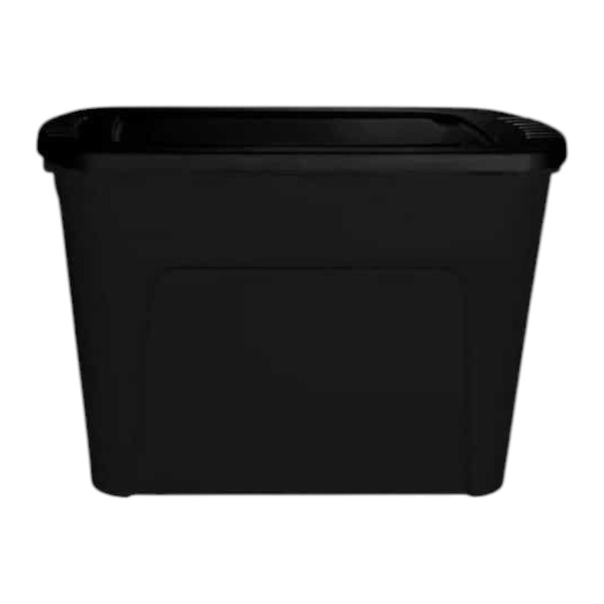 Baúl Organizador Eco Box 80 Lts 