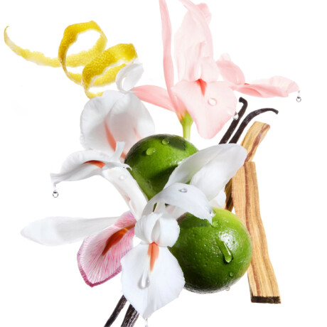 Mascarilla Capilar Kérastase Gloss Absolu Masque Riche 200ml Mascarilla Capilar Kérastase Gloss Absolu Masque Riche 200ml