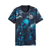 Camiseta Puma Paraguay Alternativa APF Caballero 69701901 Camiseta Puma Paraguay Alternativa APF Caballero 69701901