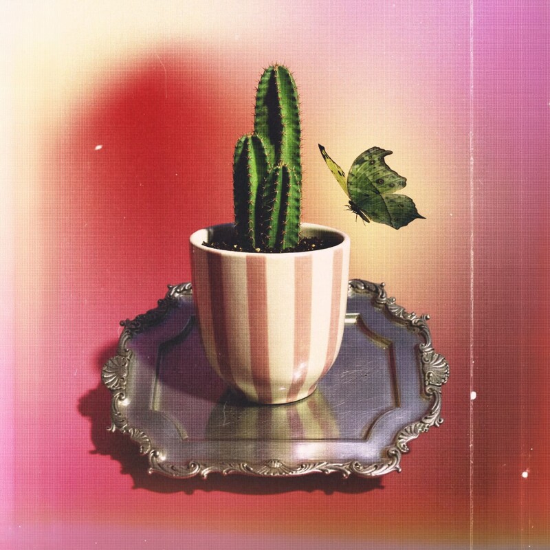 Maceta de cerámica Rayas rosa