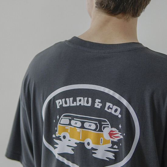 Remera Pulau Combi Gris