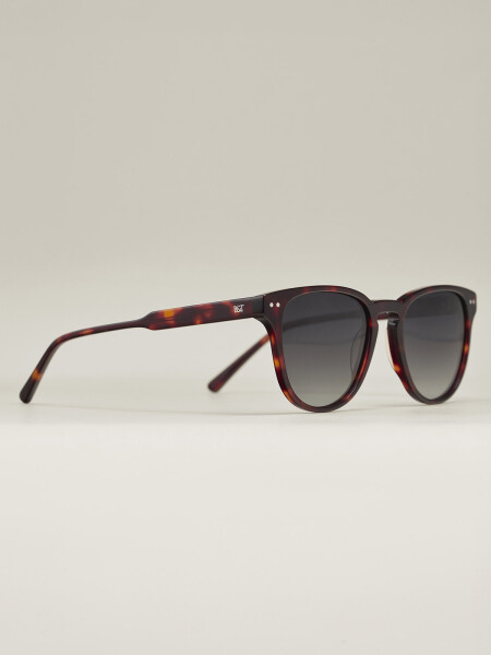 SUNGLASSES CHRIS CAREY C1