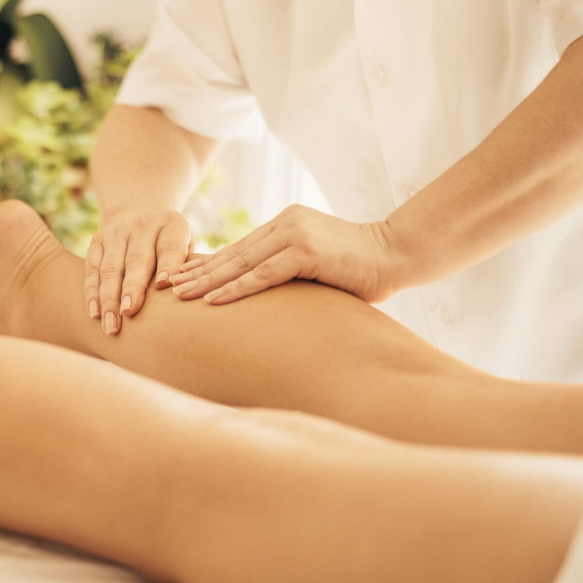 Desconexion Profunda 