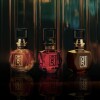 Perfume Cher Onyx Edp Women 50 ml Perfume Cher Onyx Edp Women 50 ml